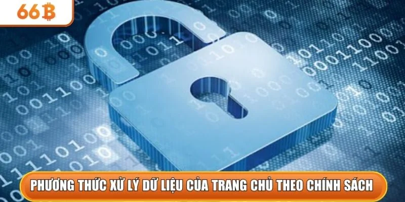 Phương thức xử lý dữ liệu của trang chủ theo chính sách 